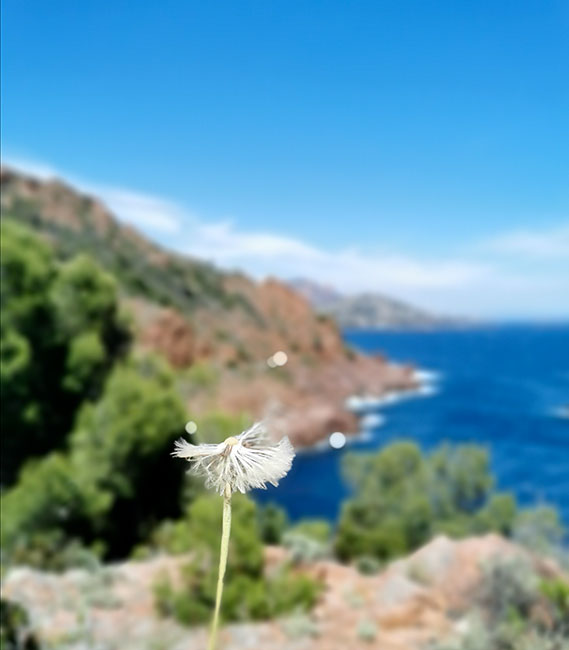 Cap Dramont - Saint Raphaël © Estelle De Souza