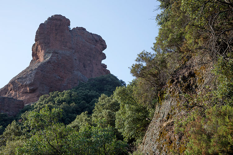 Rocher - Montagne de Roquebrune © Norbert Pousseur 