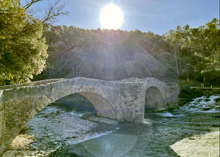 Pont - Vins sur Caramy © Élodie Roman 